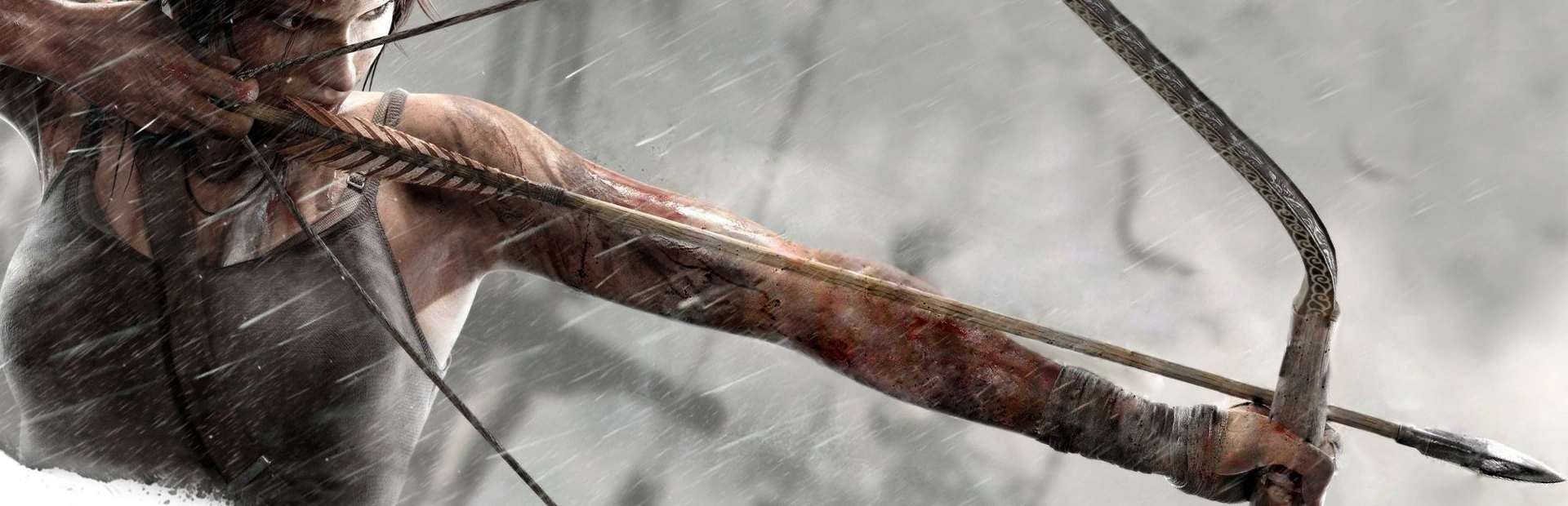 Tomb Raider 2013.banner3