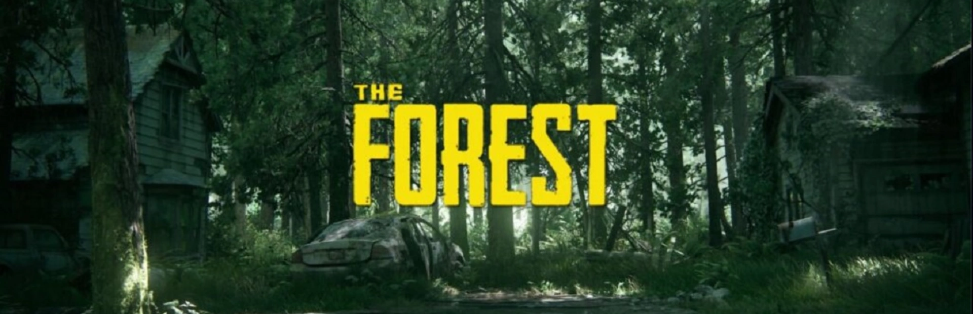 The Forest.BANNER2