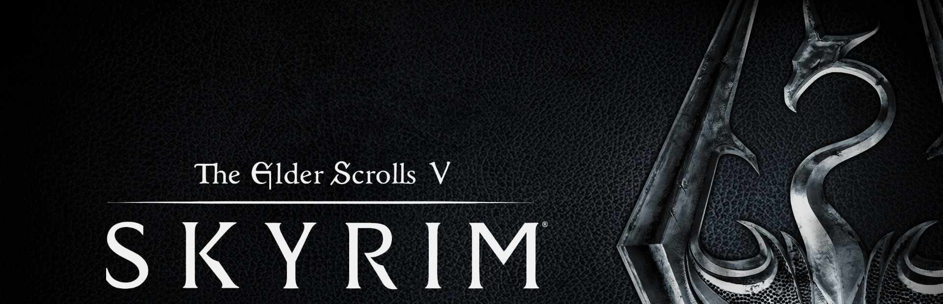 The Elder Scrolls V Skyrim6.banner2
