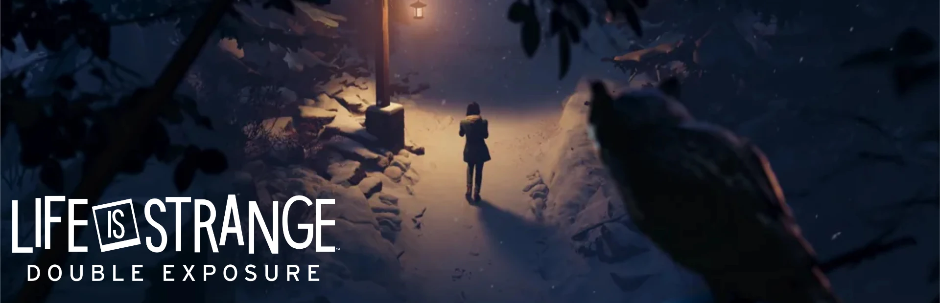 دانلود بازی Life is Strange: Double Exposure برای کامپیوتر | گیمباتو