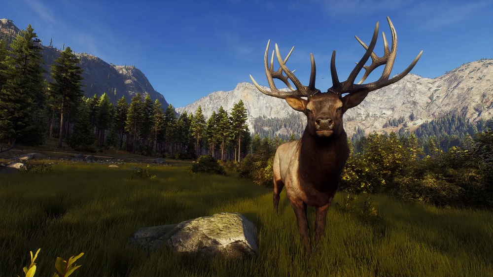 نقد و بررسی بازی Way of the Hunter