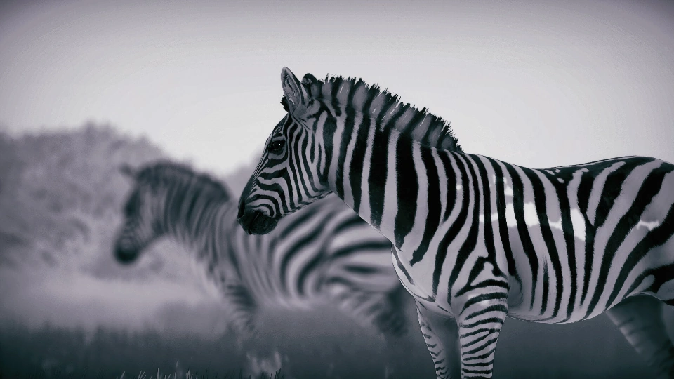 دانلود بازی Seclusa برای PC | گیمباتو