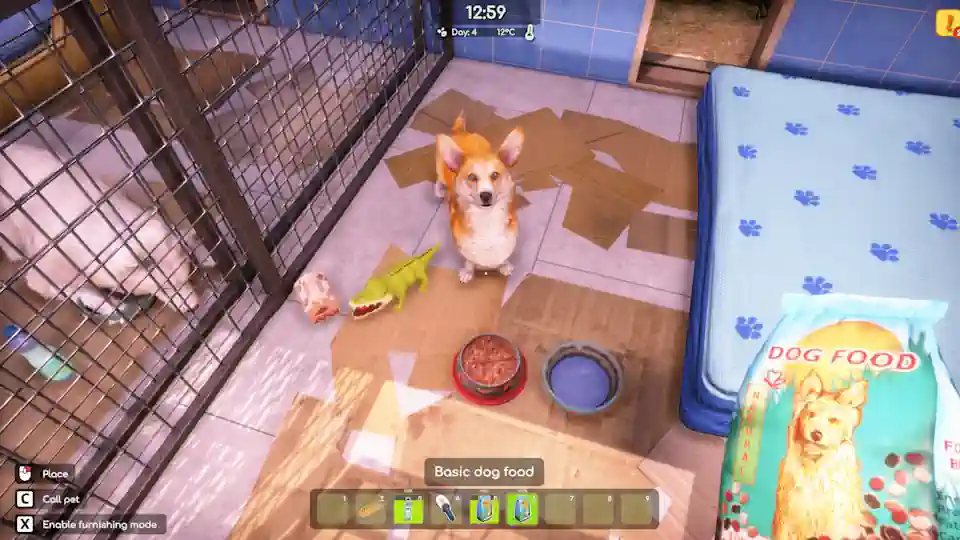 دانلود بازی Animal Shelter 2 – Anniversary برای کامپیوتر | گیمباتو